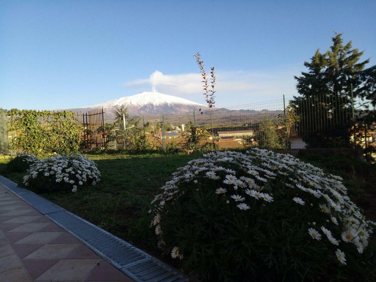 Bed and Breakfast Good Morning Etna Бронте Экстерьер фото